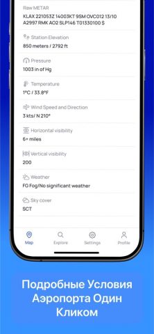 Aviation Weather: METAR, TAF для iOS — скриншот 3