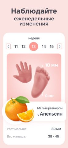 Беременность по неделям. для iOS — скриншот 2
