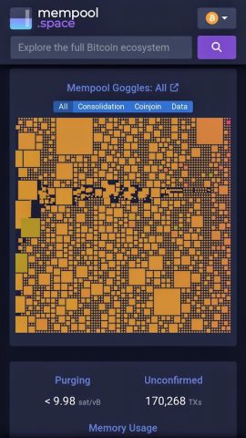 Bitcoin Explorer (by mempool) для Android — скриншот 1