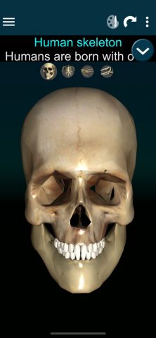 Bones 3D (Anatomy) для iOS — скриншот 1