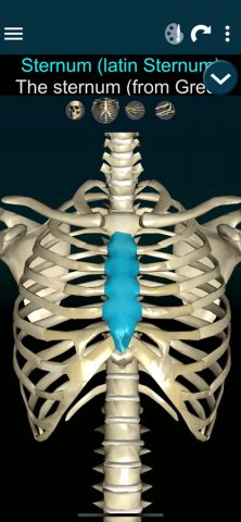 Bones 3D (Anatomy) для iOS — скриншот 2