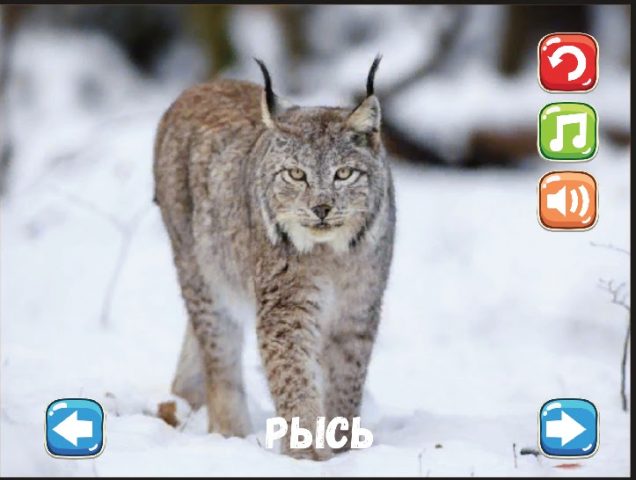 Букварь для Android — скриншот 4