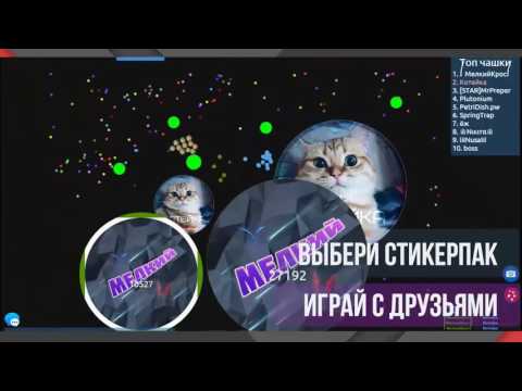 Чашка Петри для Android — официальный трейлер