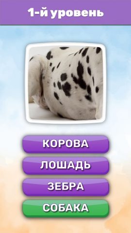 Что это? Викторина для Android — скриншот 2