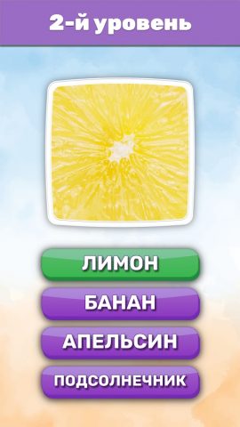 Что это? Викторина для Android — скриншот 3