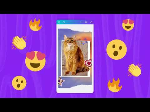 Canva: дизайн, фото и видео — официальный трейлер