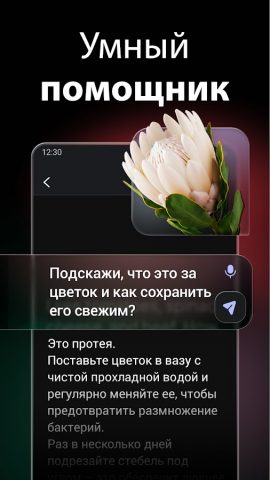 ChatOn: Нейросеть・Чат-бот с ИИ для Android — скриншот 2