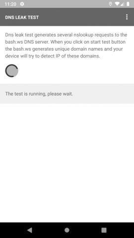 DNS leak test для Android — скриншот 2