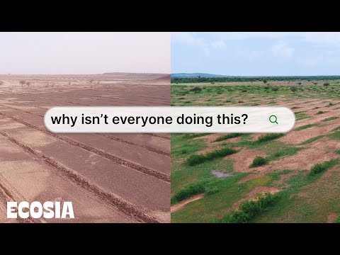 Ecosia: Search to plant trees для Android — официальный трейлер