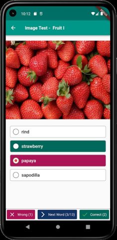 English Vocabulary In Use для Android — скриншот 3