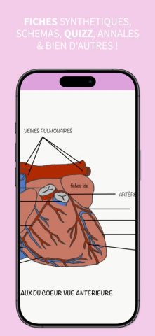 Fiches IDE для iOS — скриншот 4