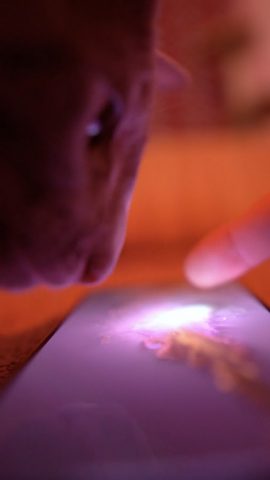 Fluid Simulation — скриншот 1