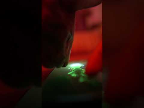 Fluid Simulation — официальный трейлер