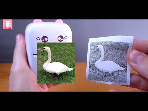 Fun Printer – кот мини принтер — официальный трейлер