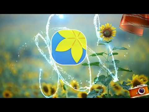 Gallery для Android — официальный трейлер