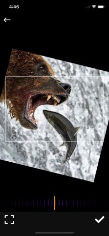 GridArt для iOS — скриншот 2