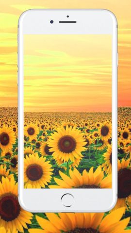 HD Wallpapers и обои Темы для iPhone iPad Retina 7 — скриншот 1