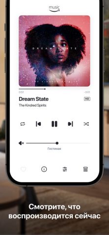 HEOS для iOS — скриншот 5