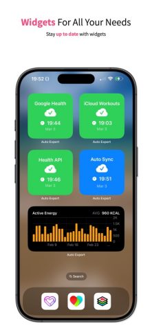 Health Auto Export — JSON+CSV для iOS — скриншот 5