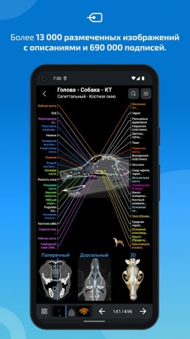 IMAIOS vet-Anatomy для Android — скриншот 2