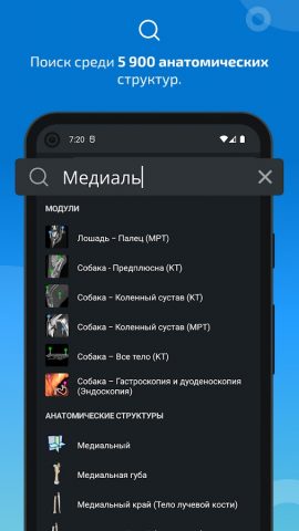 IMAIOS vet-Anatomy для Android — скриншот 3