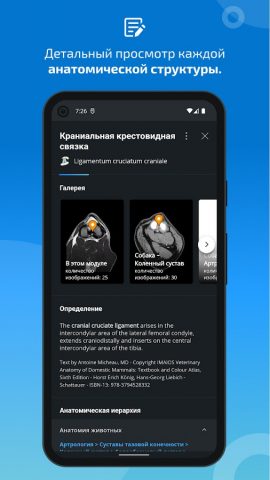 IMAIOS vet-Anatomy для Android — скриншот 5