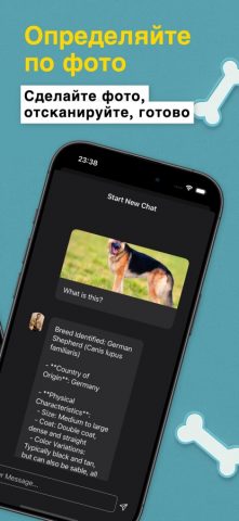 Идентификатор пород собак для iOS — скриншот 3