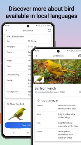 Идентификатор птиц для Android — скриншот 2