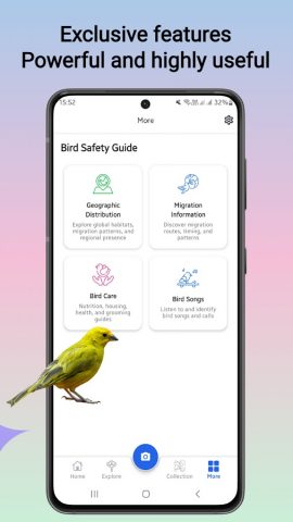 Идентификатор птиц для Android — скриншот 3