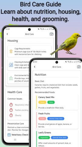 Идентификатор птиц для Android — скриншот 5