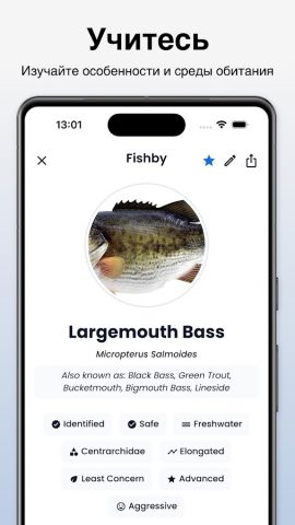 Идентификатор рыб для Android — скриншот 4