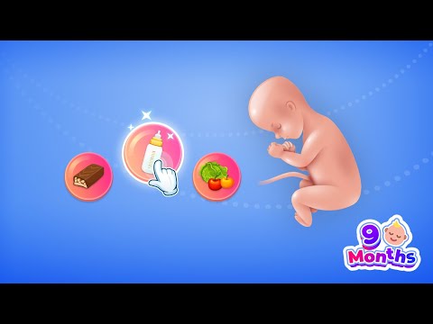 Idle 9 Months для Android — официальный трейлер