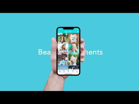 Journey — дневник, журнал — официальный трейлер