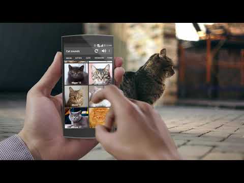 Кошачьи звуки для Android — официальный трейлер