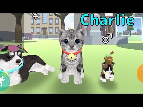 Кошка Симулятор Онлайн — официальный трейлер