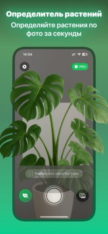 Leafify: Определить Растение для iOS — скриншот 1