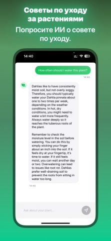 Leafify: Определить Растение для iOS — скриншот 3