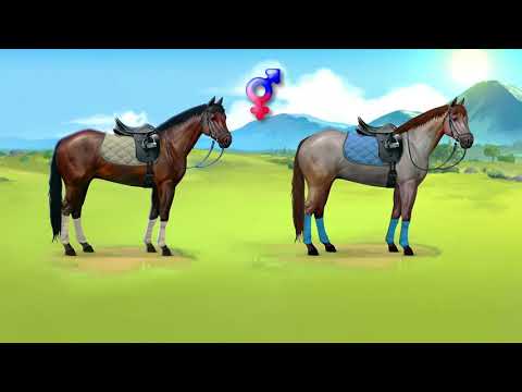 Лоwади — симулятор коневода для Android — официальный трейлер