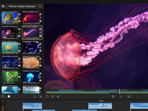 LumaFusion: Pro Video Editing — официальный трейлер