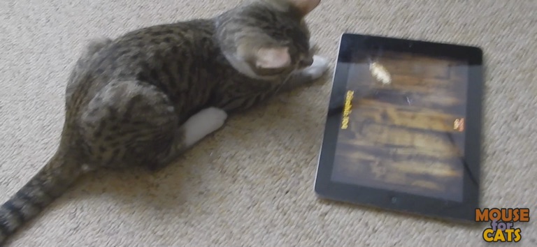 Mouse for Cats для iOS — официальный трейлер