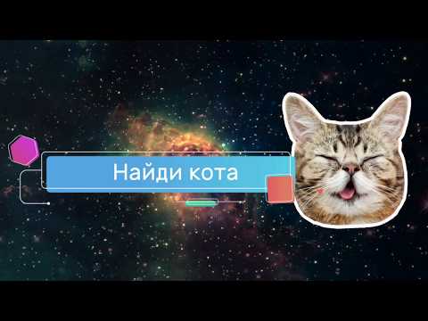 Найди кота для Android — официальный трейлер