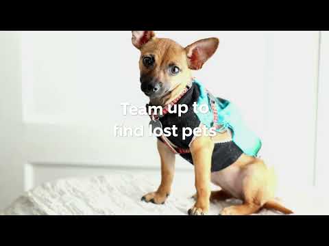 Neighbors by Ring для Android — официальный трейлер