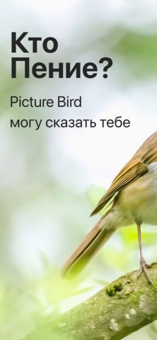 Picture Bird — Распознать птиц для iOS — скриншот 1