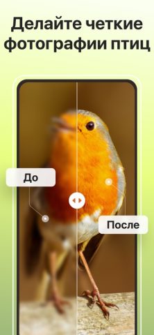 Picture Bird — Распознать птиц для iOS — скриншот 3