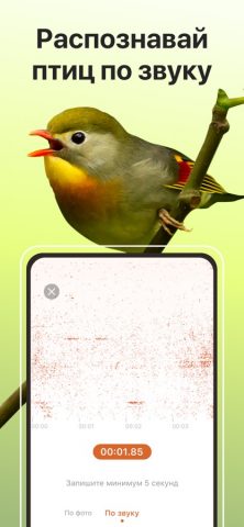 Picture Bird — Распознать птиц для iOS — скриншот 4