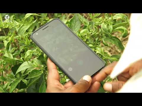 Plantix — your crop doctor — официальный трейлер