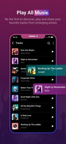 PlayerPro — Music Player для iOS — скриншот 2