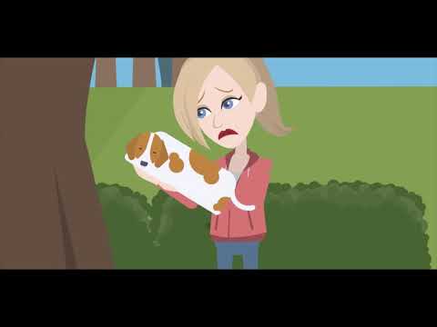 Пристройство животных для Android — официальный трейлер