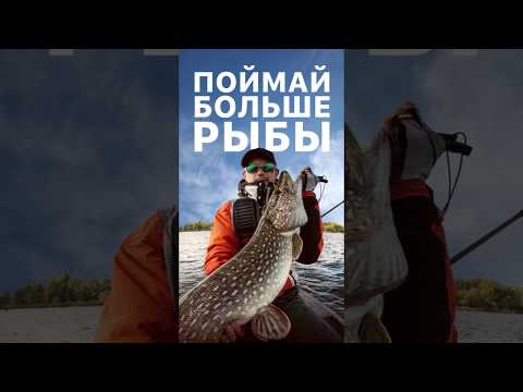 Прогноз клёва — ТипТоп Рыбалка для Android — официальный трейлер