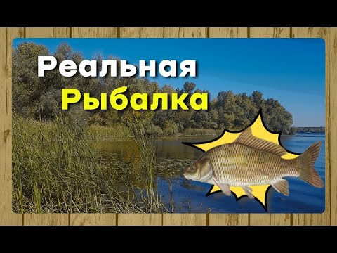 Реальная Рыбалка для Android — официальный трейлер